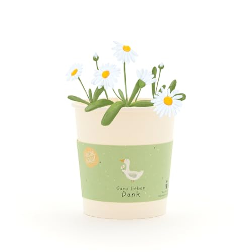 Gänseblümchen-Anzuchtset als Dankeschön-Geschenk
