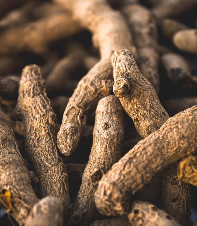 Kurkumawurzel bei Arthrose