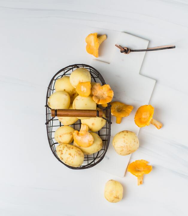 Wunderknolle Kartoffel