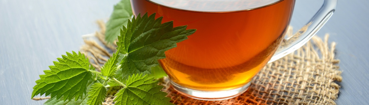 Welcher Tee hilft beim Abnehmen?