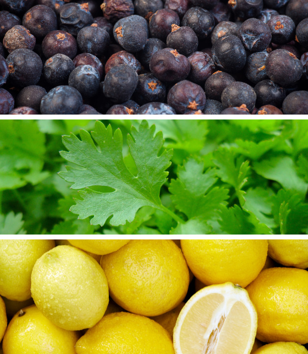 Wacholder, Petersilie und Zitronen Wacholder, Petersilie und Zitronen