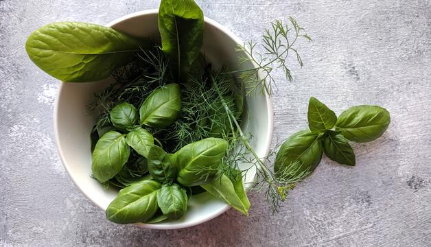 Frische Kräuter zum Kochen