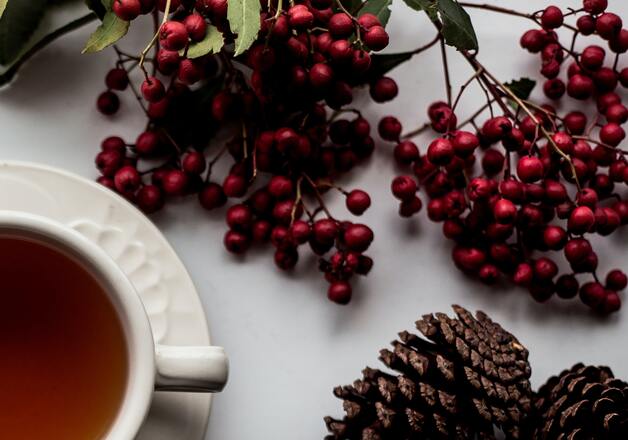Hagebuttentee, das Superfood