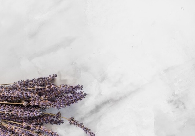 Lavendel: positive Eigenschaften