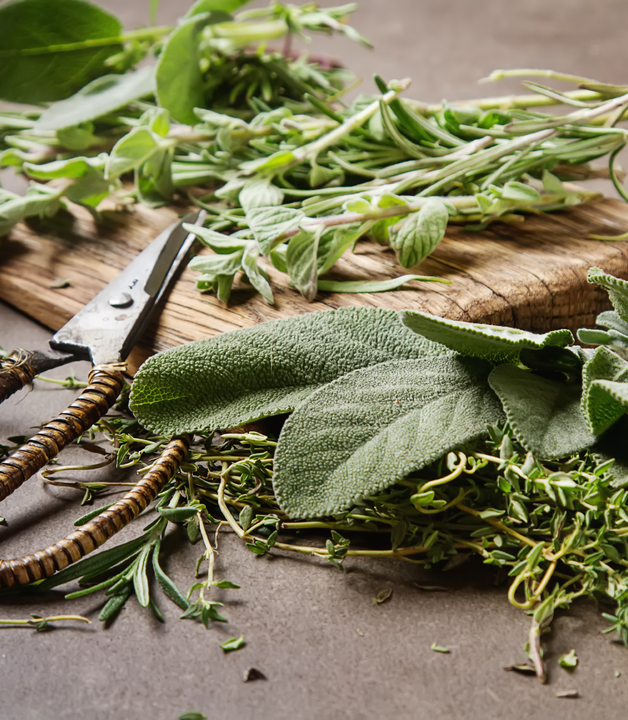 Italienische Kräuter