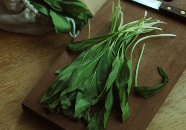 Kräuter aus der Lauchfamilie