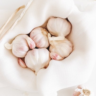 Knoblauch, die scharfe Wunderknolle