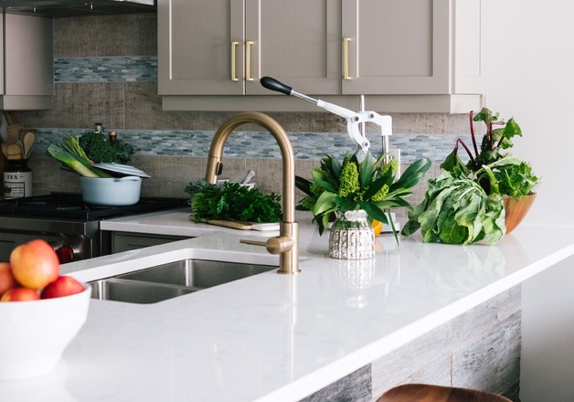 Kräuter für die Küche