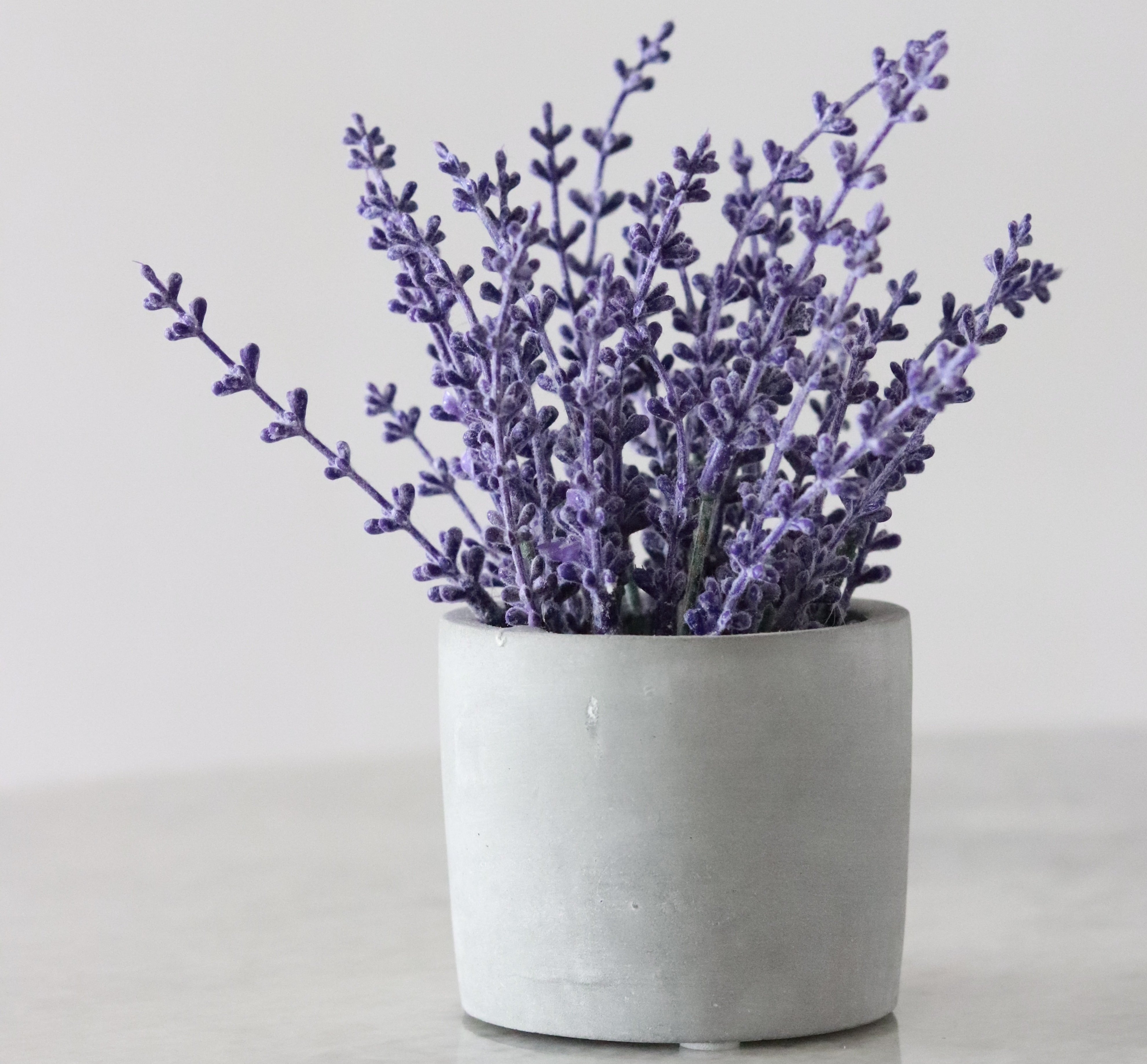 Mediterrane Kräuter