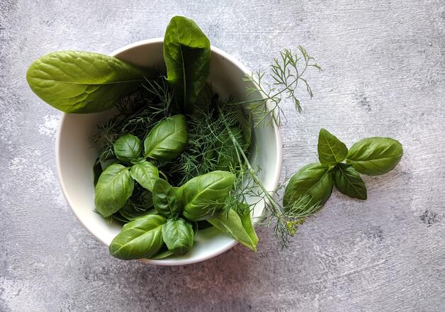 Mediterrane Kräuter kaufen