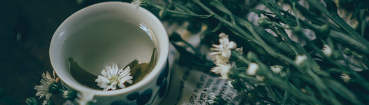 Europäische Teesorten genießen