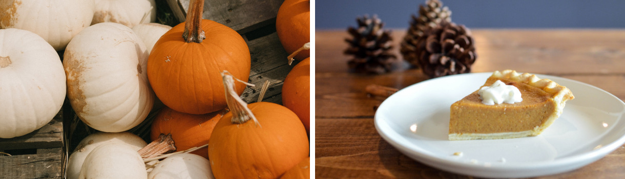 Kürbis und Kürbiskuchen