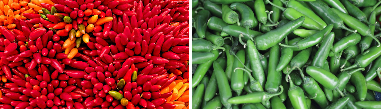 Chili, der Scharfmacher